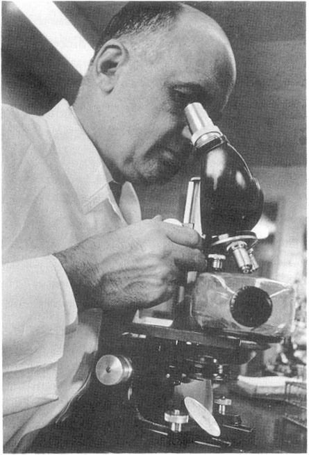 Black and white photo of Hilleman at a microscope