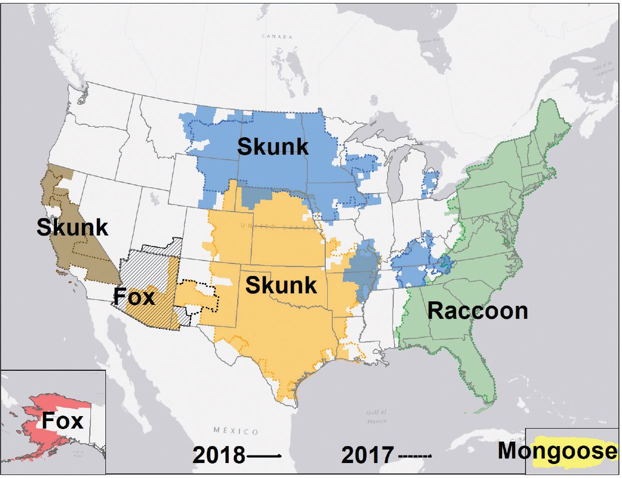 Map of the United States showing areas of rabies animal reservoirs with foxes in Alaska, mongooses in Puerto Rico, skunks in California and nevada, foxes in Arizona, skunks from Texas to North Dakota, and raccoons on the eastern seaboard.