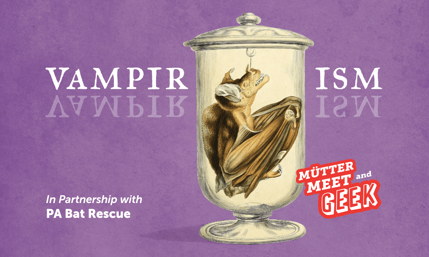 Purple background with a vintage drawing of a bat in a jar. Text that reads "Mütter Meet and Geek: Vampirism in partnership with PA Bat Rescue"