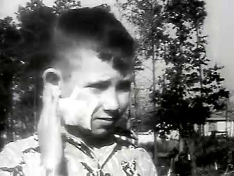 Disease Elimination and Eradication | History of Vaccines