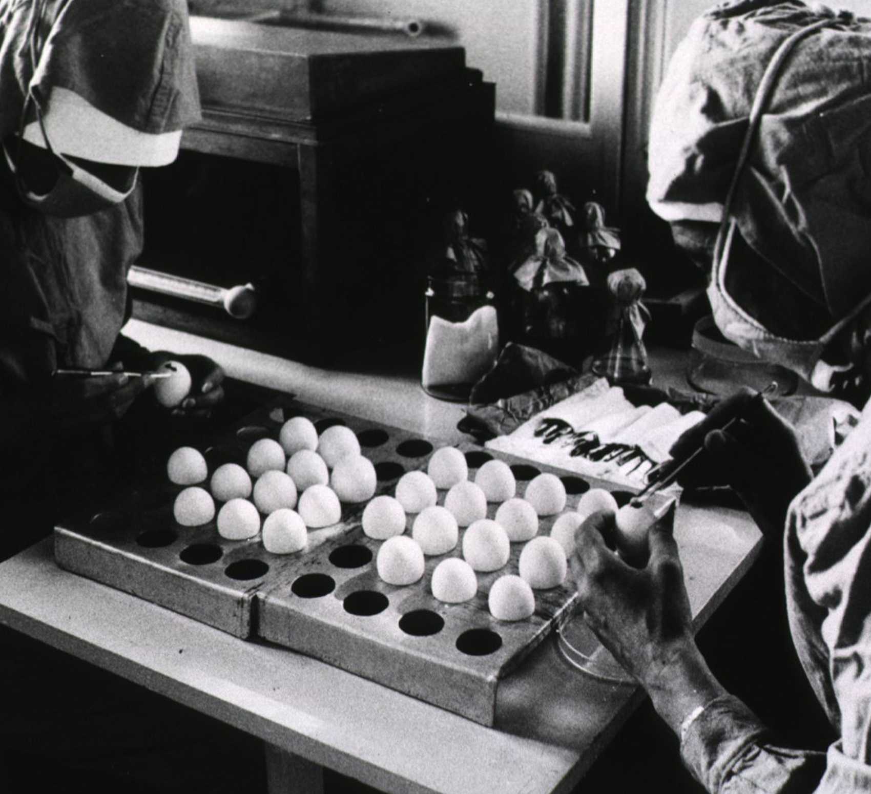Human Cell Strains in Vaccine Development | History of Vaccines Human Cell Strains in Vaccine Development | History of Vaccines